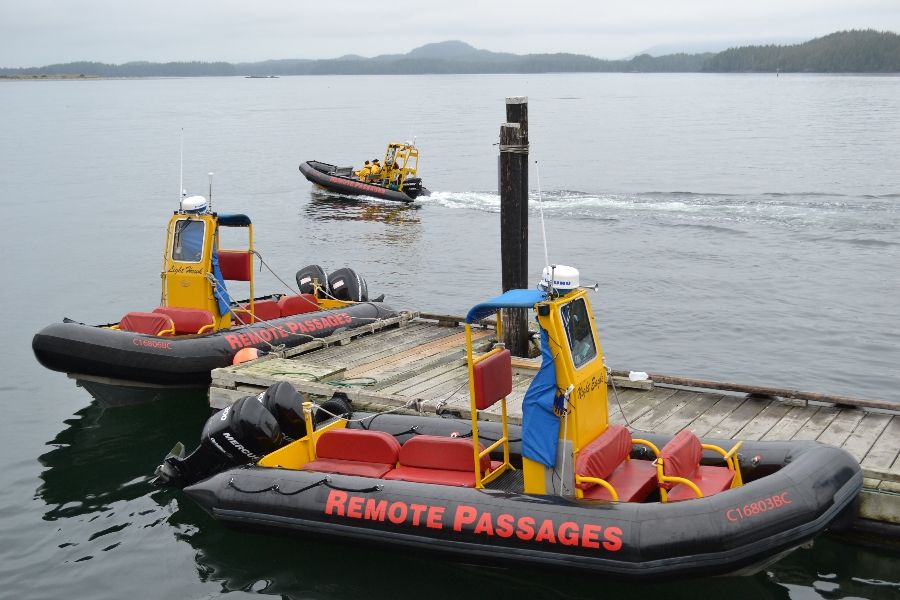 Boten bij een steiger in Tofino tijdens een wildlife tocht in Canada.