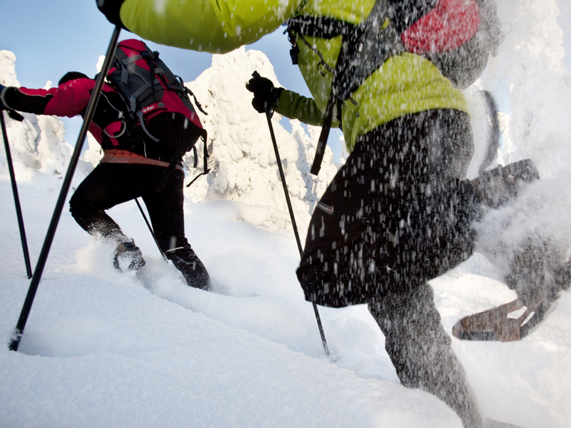 Sneeuwschoenen