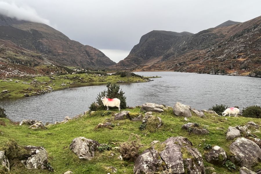 Gap Of Dunloe wandelen vanuit Killarney