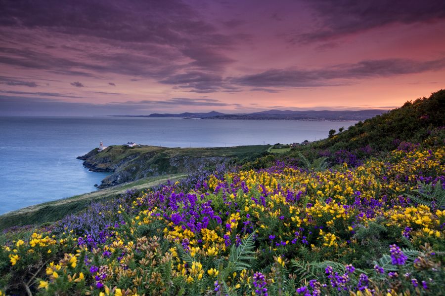 Howth autorondreis Ierland B&B