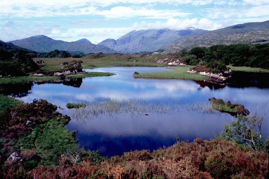 Killarney autorondreis Ierland B&B