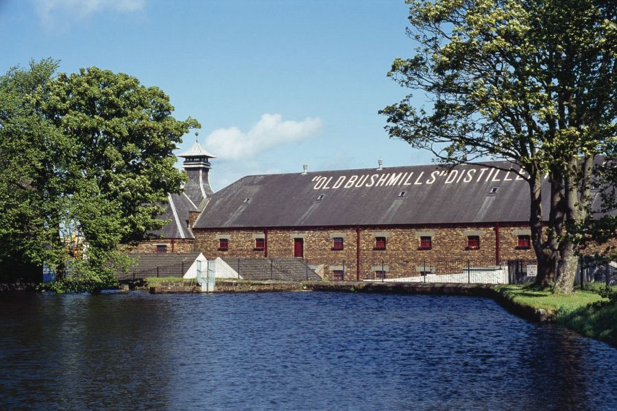 Bushmills Distillery autorondreis Ierland B&B