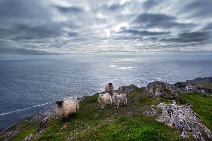 Sheep’s Head autorondreis Ierland B&B 