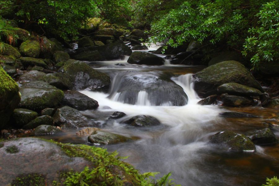Killarney Torc waterval autorondreis Ierland B&B’s