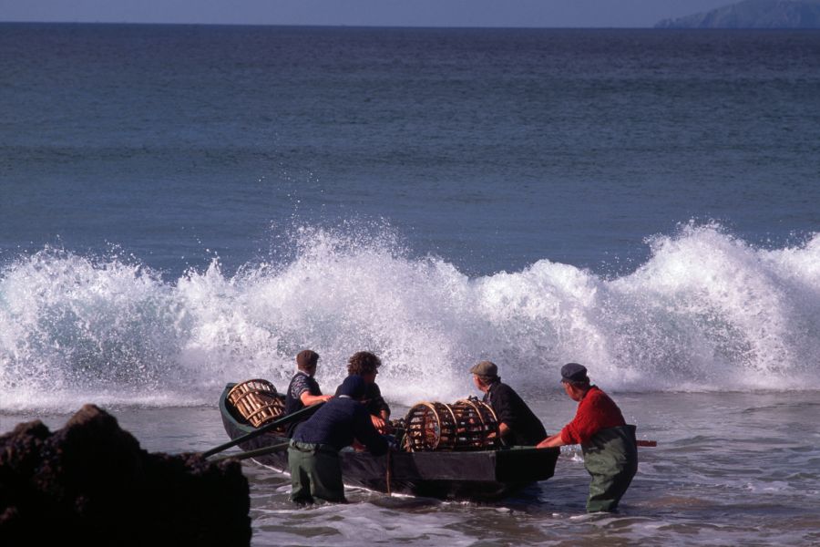 Curragh autorondreis Ierland B&B
