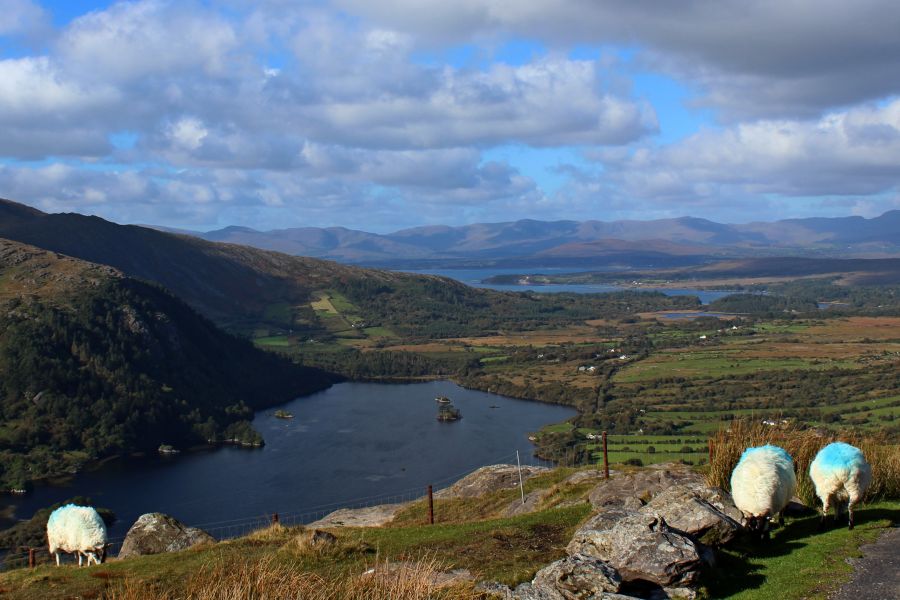 Healy Pass autorondreis Ierland hotels
