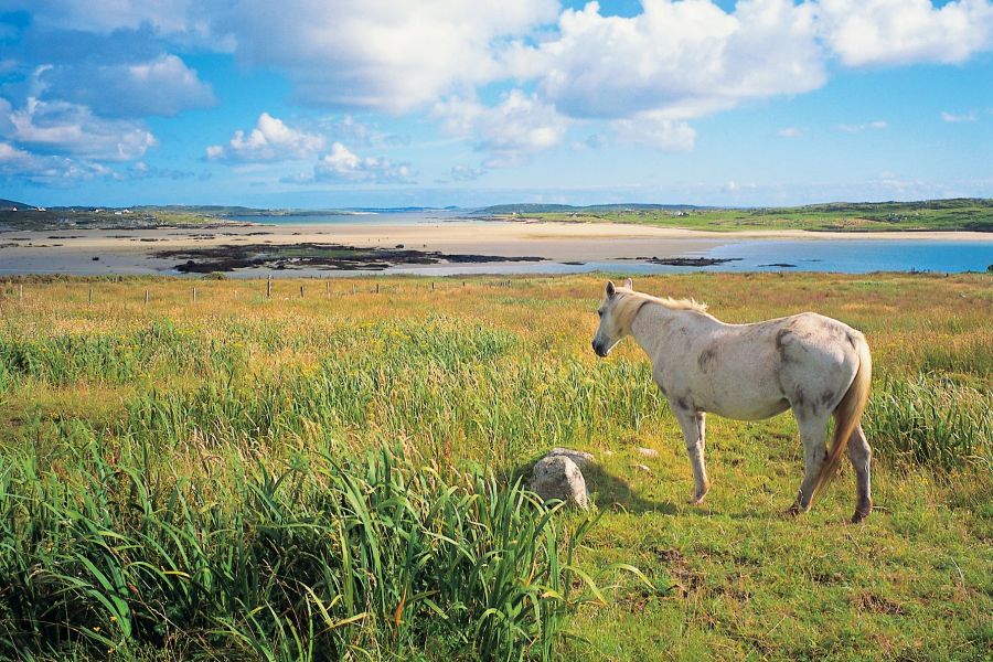 Connemara autorondreis Ierland hotels
