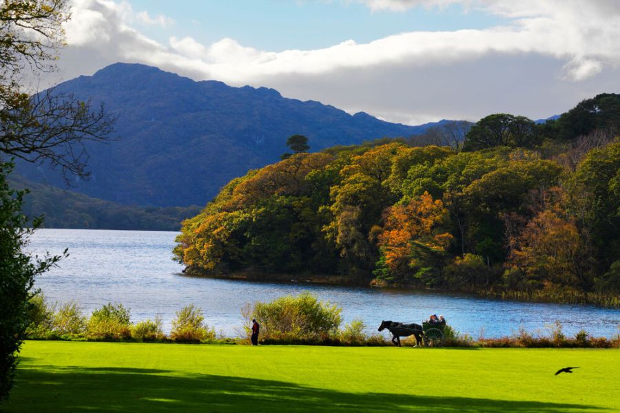 Killarney autorondreis Ierland B&B