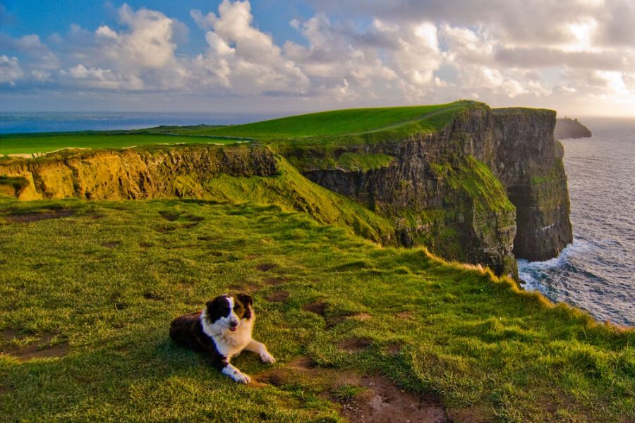 Cliffs of Moher autorondreis Ierland B&B