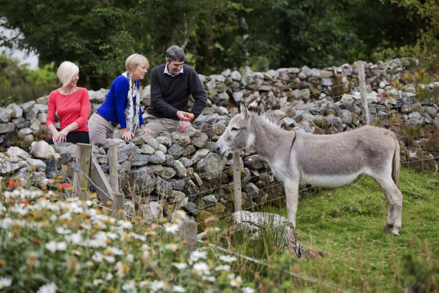 Ezeltje autorondreis Ierland vakantiewoningen