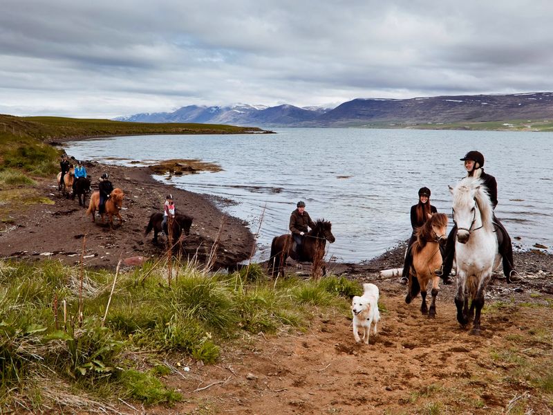 8-daagse vliegreis Akureyri incl. busexcursies