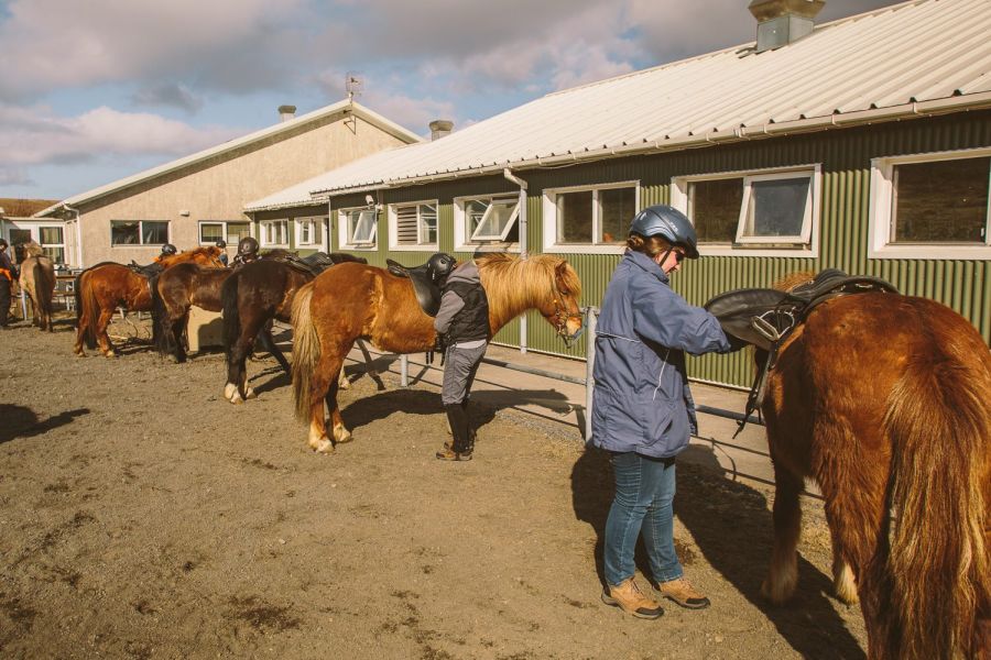Paardrijden Lava Tour
