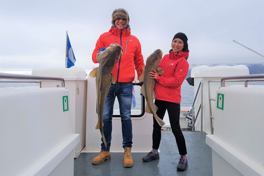 Zeevissen Faxafloi Baai