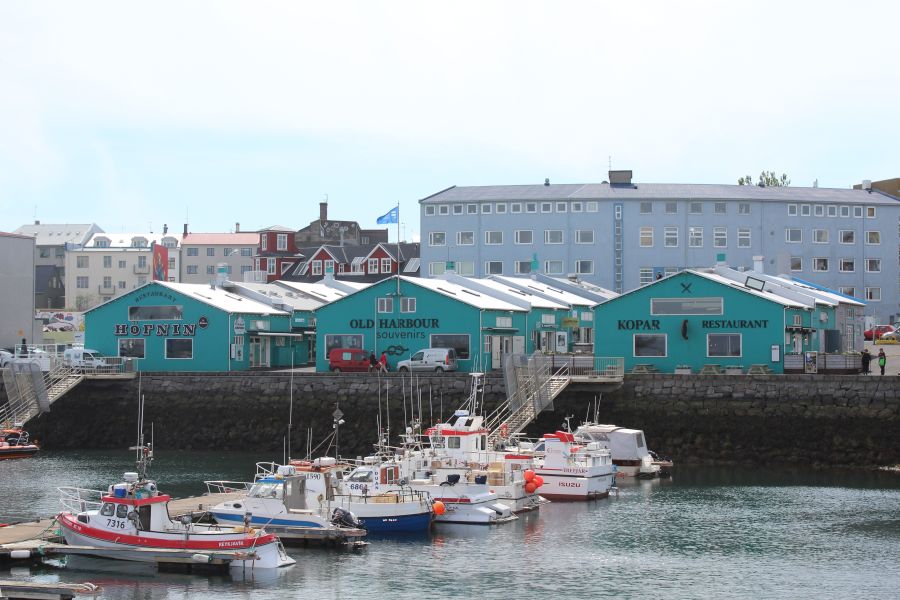 Walk With A Viking stadswandeling Reykjavik