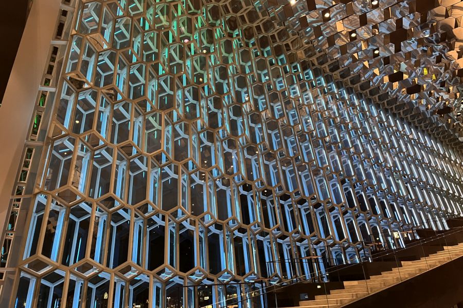 Walk With A Viking stadswandeling Reykjavik