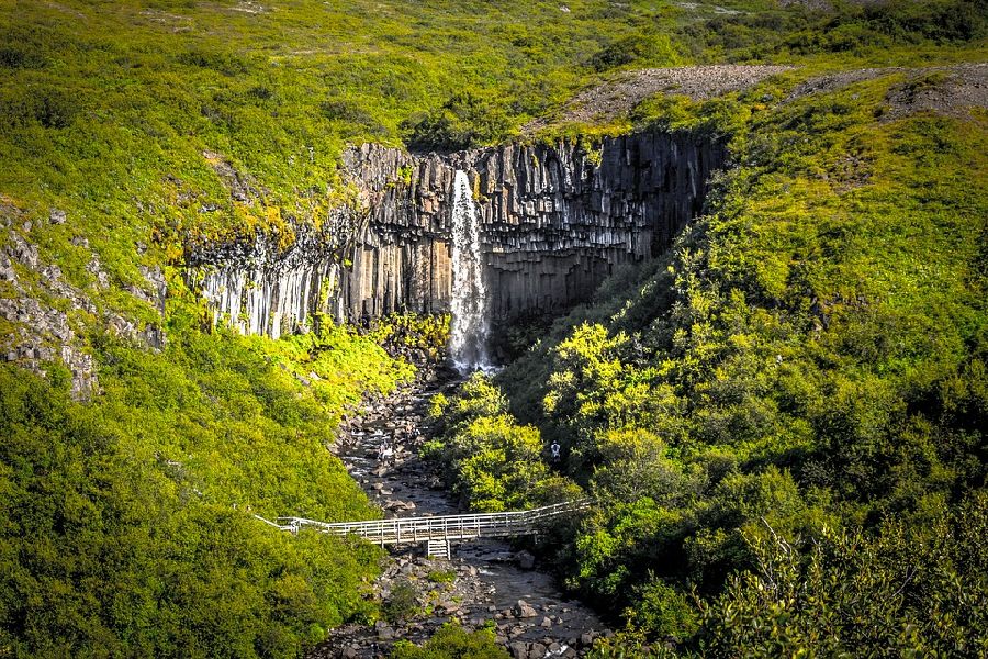 Skaftafell, Svartifoss Autorondreis IJsland