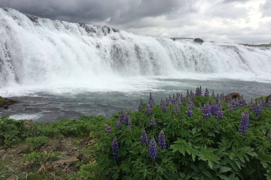 Faxi waterval, Golden Circle