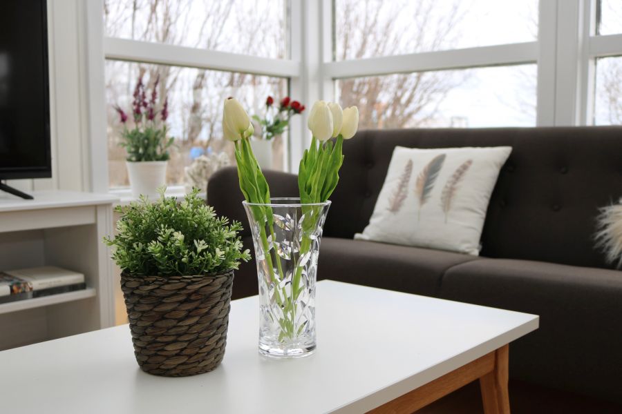 Midhraun cottages & appartementen Snaefellsnes