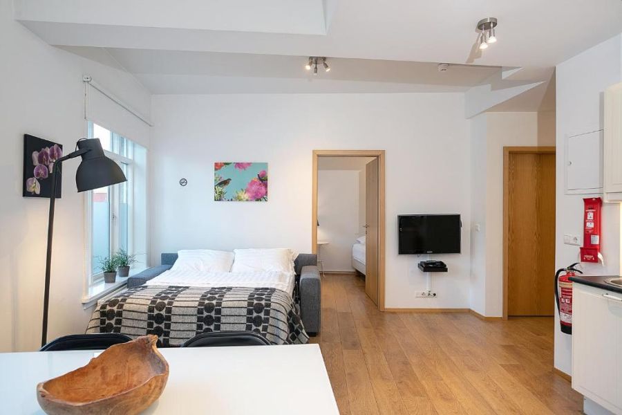 Rey Apartments - Reykjavik