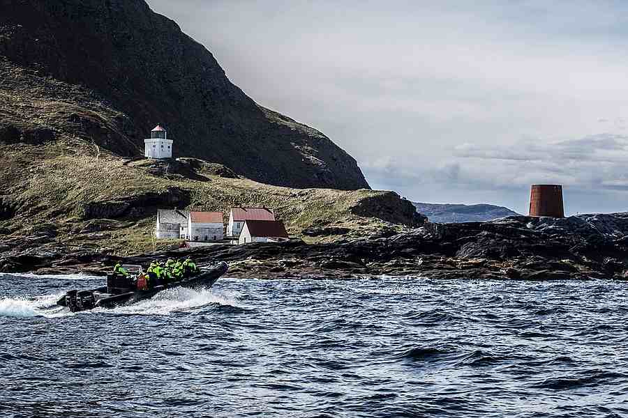 Wildlife Sea Safari incl. Runde vogelreservaat