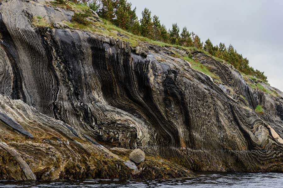 Hurtigruten excursie Bodo en Saltstraumen met BBI Travel