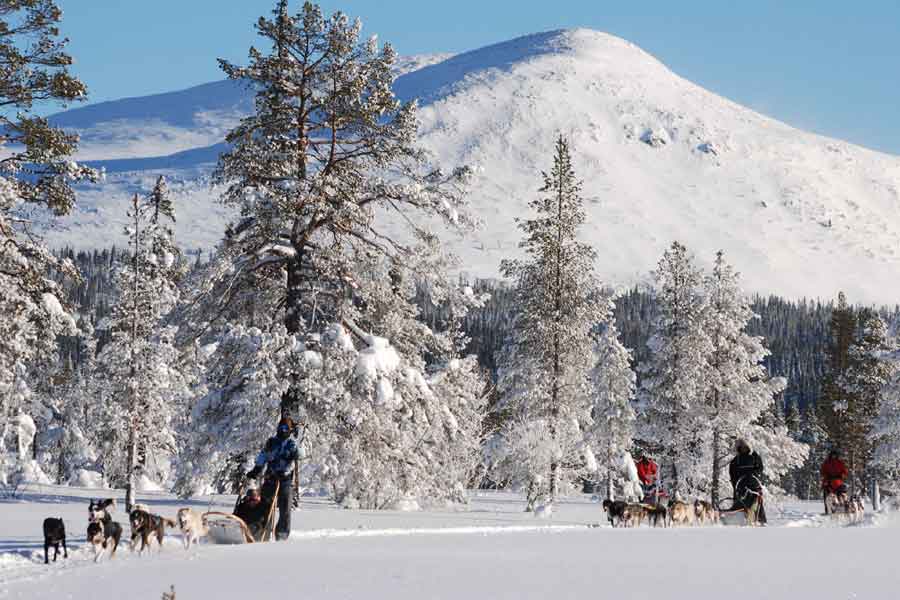 Een huskytocht in Trysil 